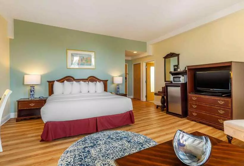 هتل The Carriage House Inn Newport