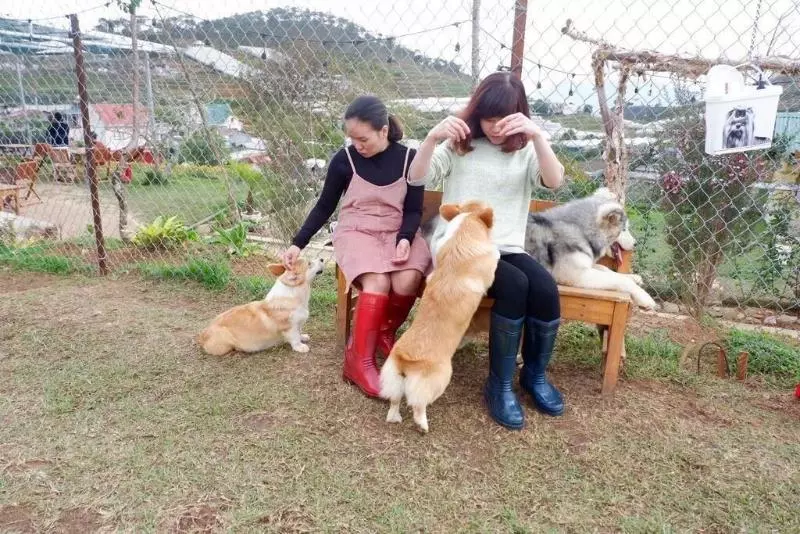 هتل White House Dalat