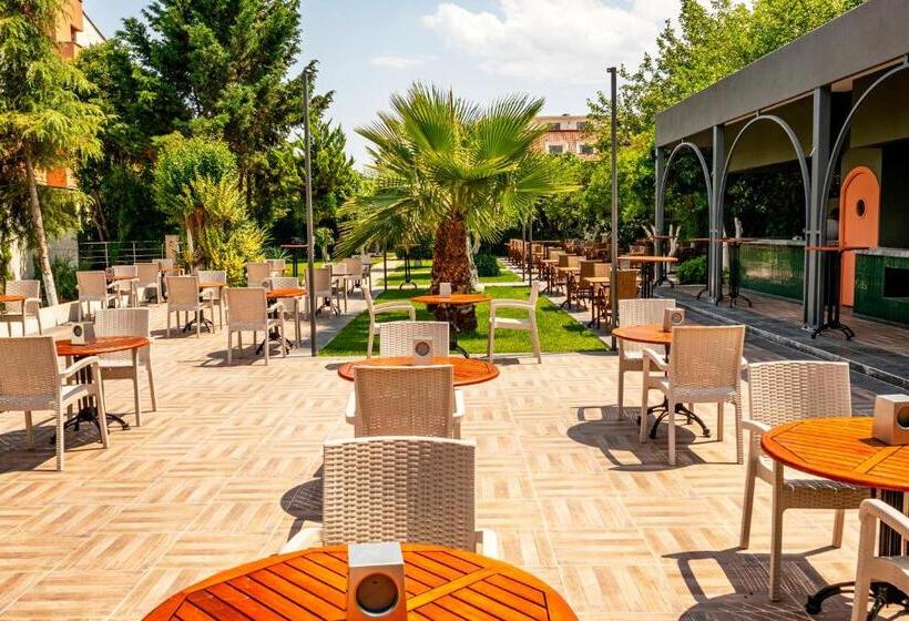 Dg Hotels Rose Resort