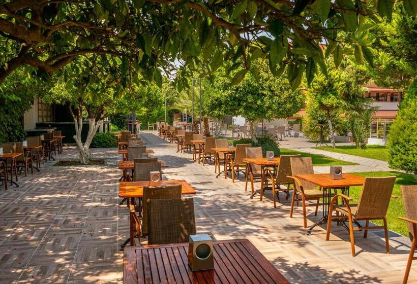 Dg Hotels Rose Resort