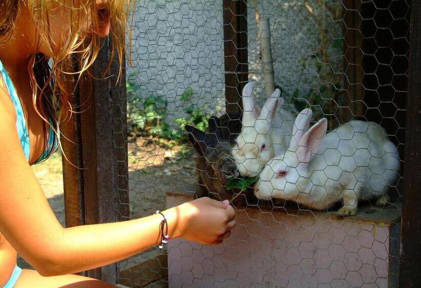 Dg Hotels Rose Resort