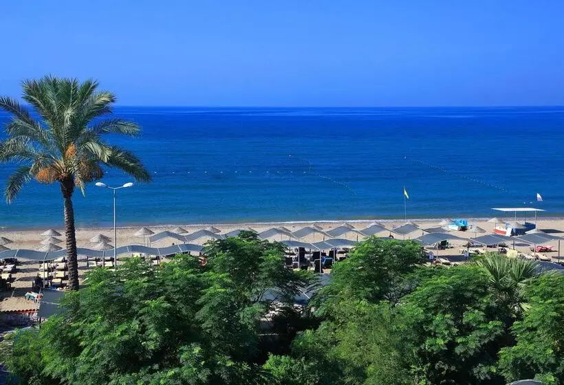 ホテル Club Cactus Paradise   All Inclusive