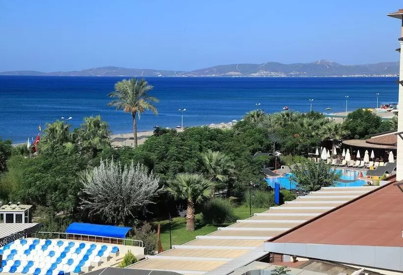 ホテル Club Cactus Paradise   All Inclusive