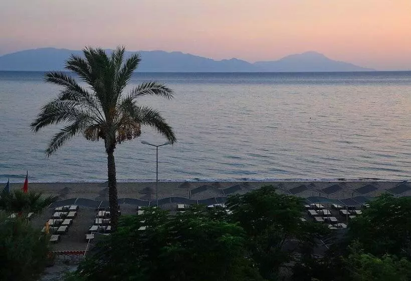 ホテル Club Cactus Paradise   All Inclusive