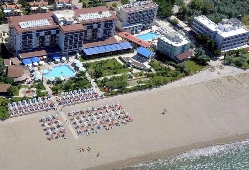 ホテル Club Cactus Paradise   All Inclusive