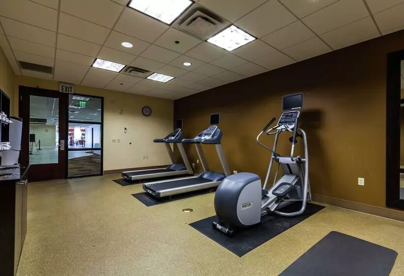 هتل Hilton Garden Inn Phoenix Midtown