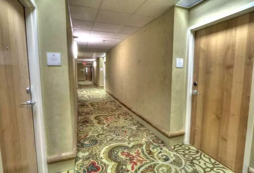 هتل Lodge At Five Oaks Pigeon Forge Sevierville