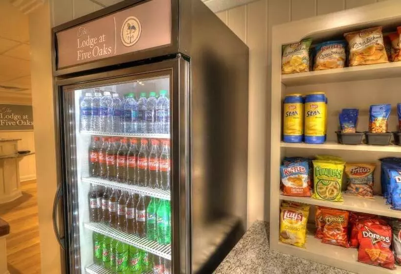 هتل Lodge At Five Oaks Pigeon Forge Sevierville