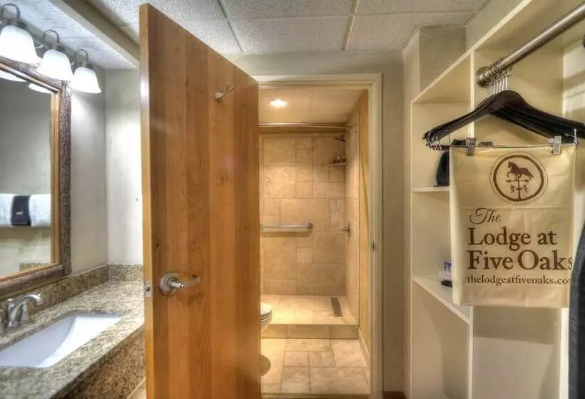 هتل Lodge At Five Oaks Pigeon Forge Sevierville