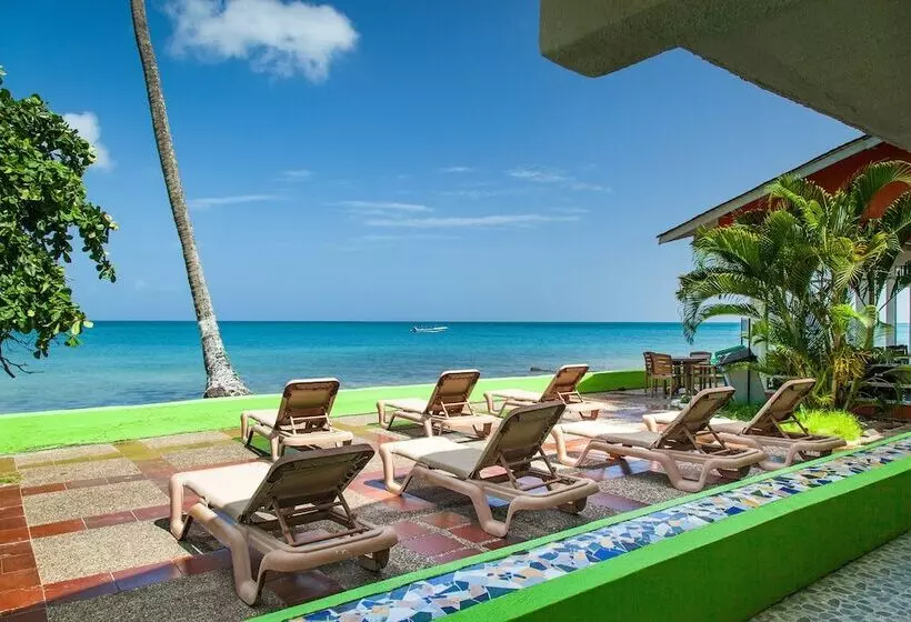 호텔 Sol Caribe Providencia