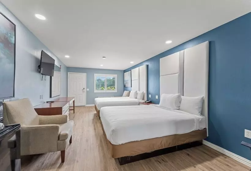 汽车旅馆 Executive Inn & Suites Magnolia