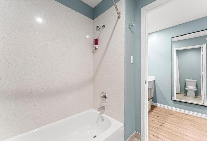 فندق على الطريق Executive Inn & Suites Magnolia