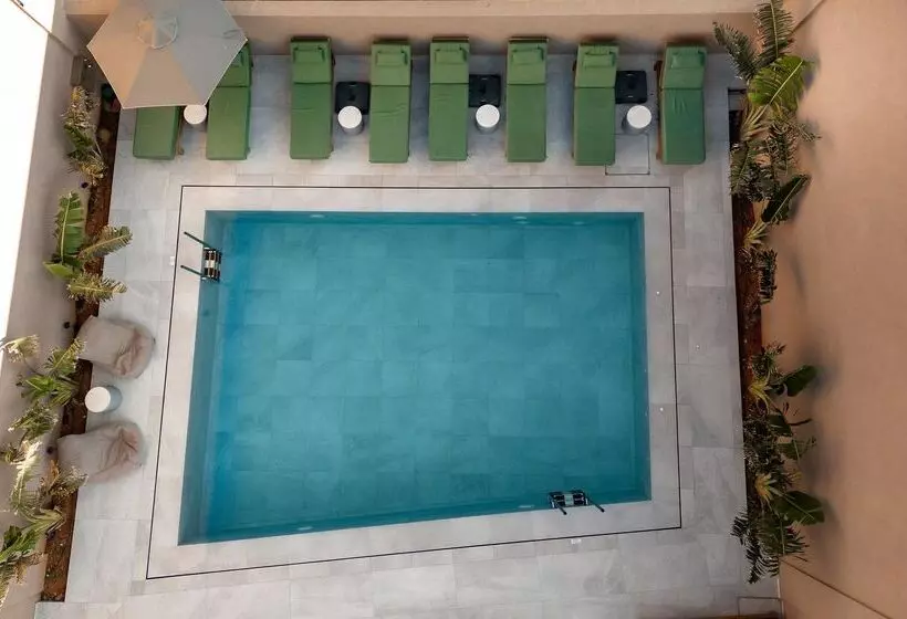 Paralos Venus Suites Adults Only