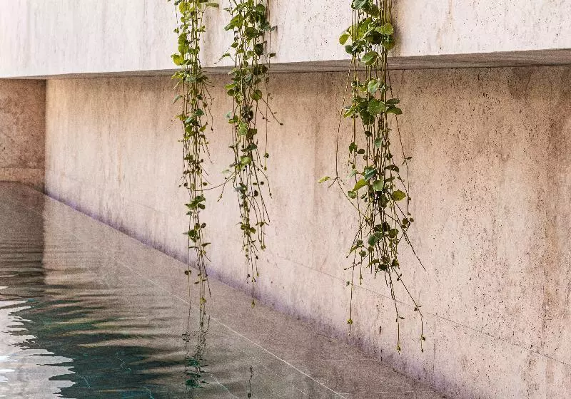 M Boutique Hotel Designed For Adults