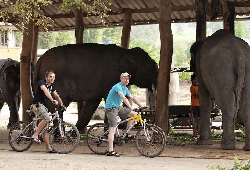 בית מלון כפרי Pai Hotsprings Spa Resort