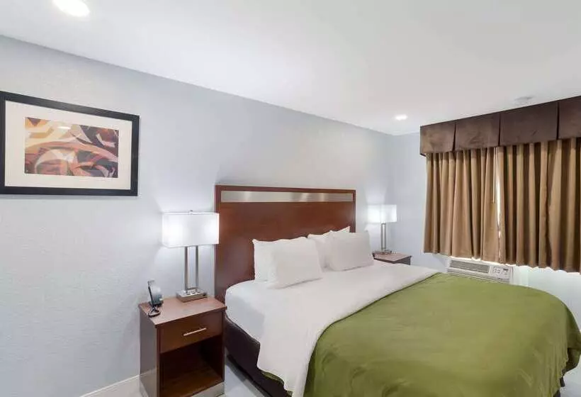 ホテル Quality Inn Redding Near I5