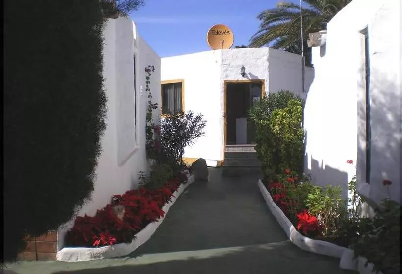 Bungalows Tenesoya Only Adults