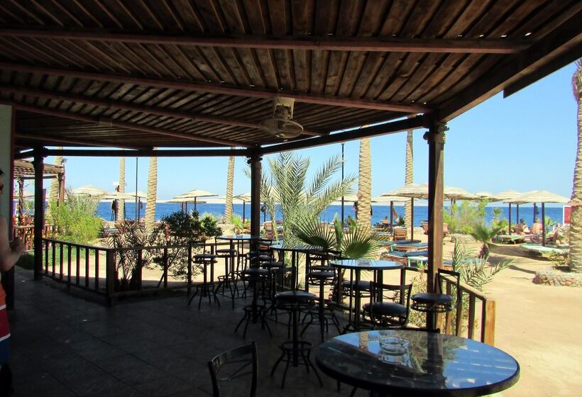 Отель Arabia Azur Resort