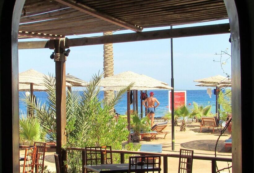 Отель Arabia Azur Resort