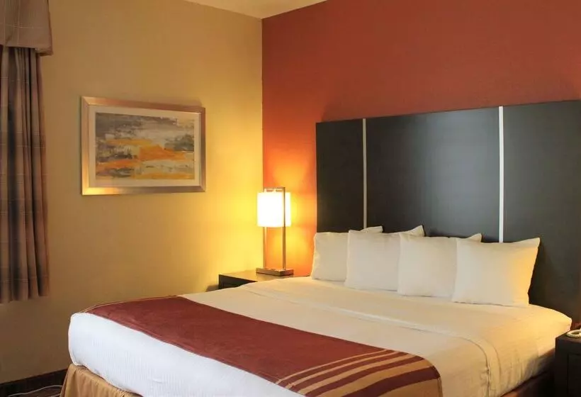 ホテル Best Western Plus North Houston Inn & Suites
