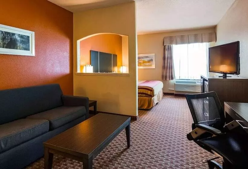 ホテル Best Western Plus North Houston Inn & Suites