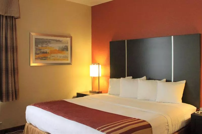 ホテル Best Western Plus North Houston Inn & Suites
