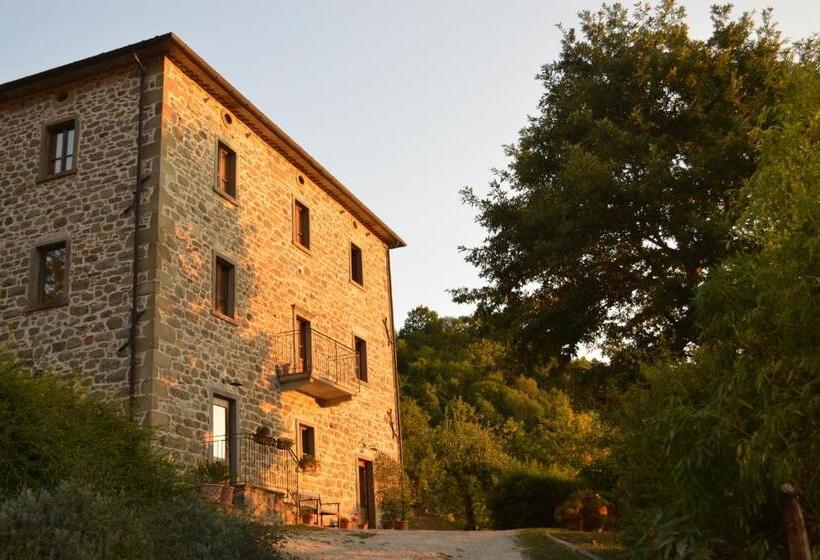 ホテル Bio Agriturismo Il Vigno