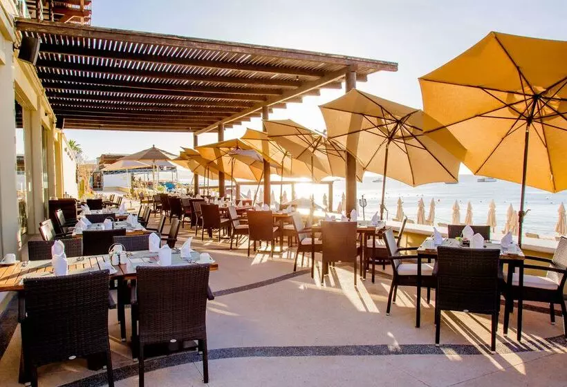 ホテル Casa Dorada Los Cabos Resort & Spa