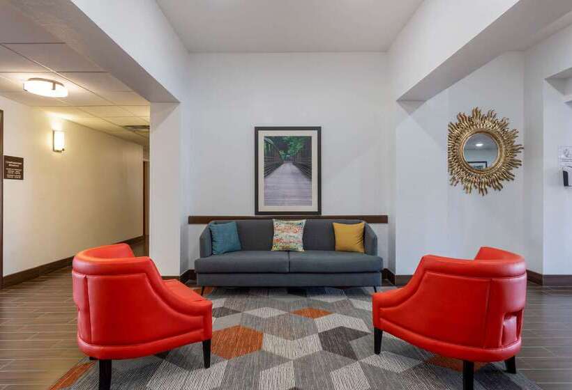 ホテル Comfort Inn & Suites