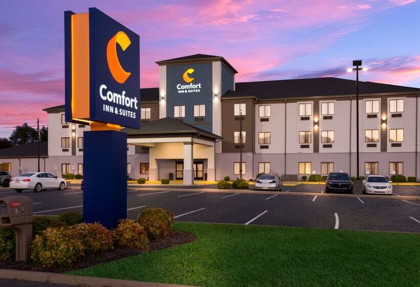 ホテル Comfort Inn & Suites