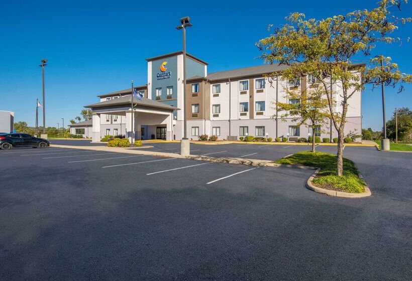 ホテル Comfort Inn & Suites