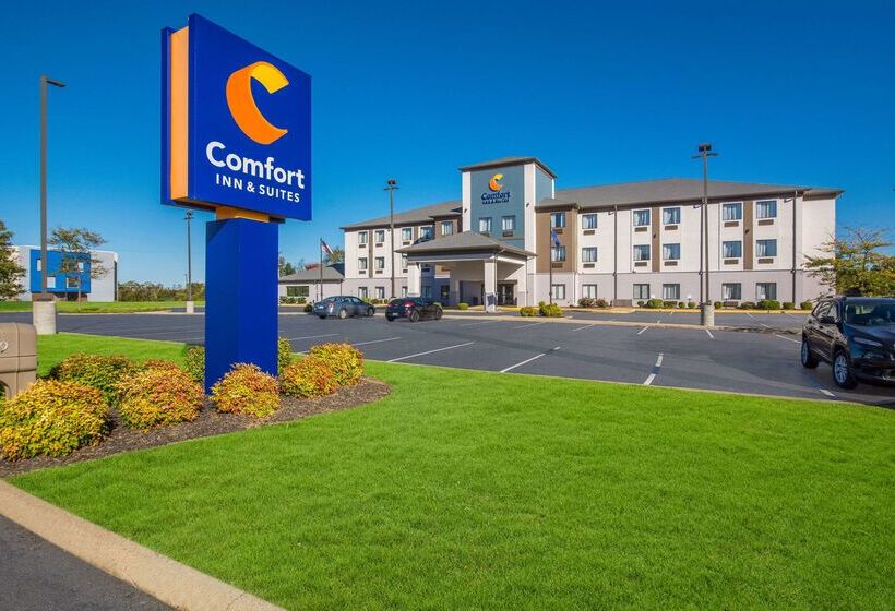 ホテル Comfort Inn & Suites