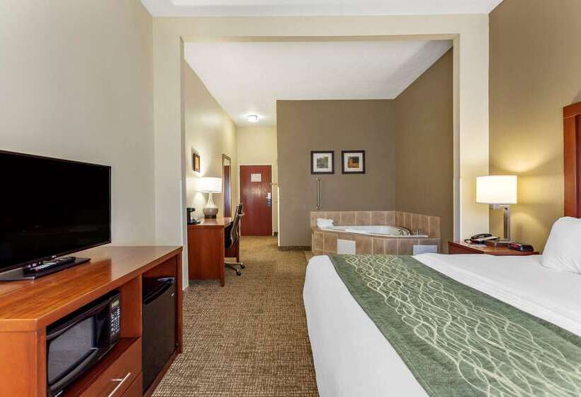 ホテル Comfort Inn & Suites