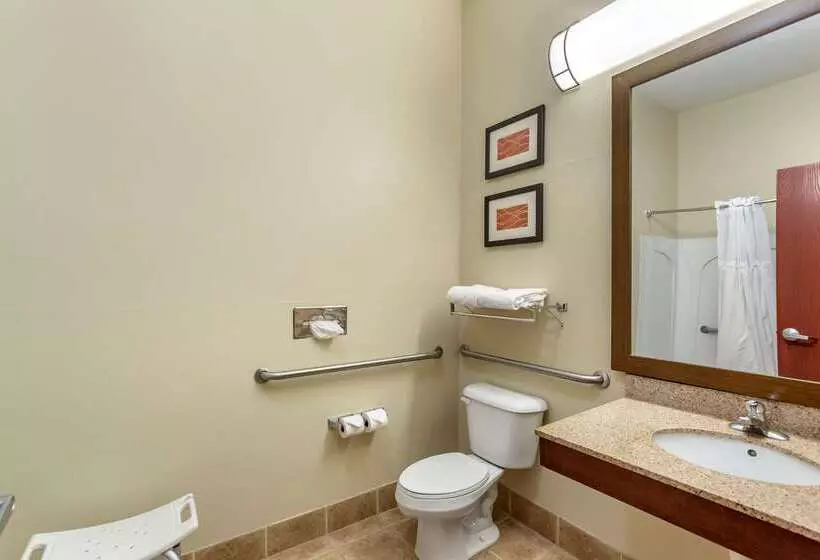 酒店 Comfort Inn & Suites