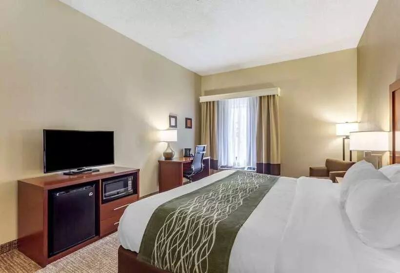 酒店 Comfort Inn & Suites