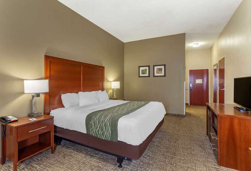 ホテル Comfort Inn & Suites