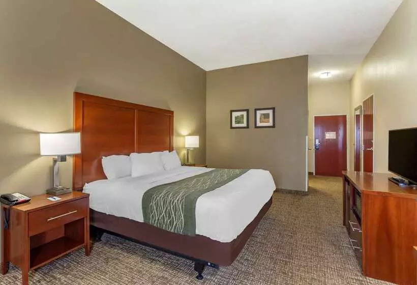 酒店 Comfort Inn & Suites