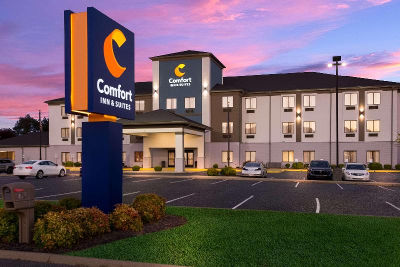 ホテル Comfort Inn & Suites