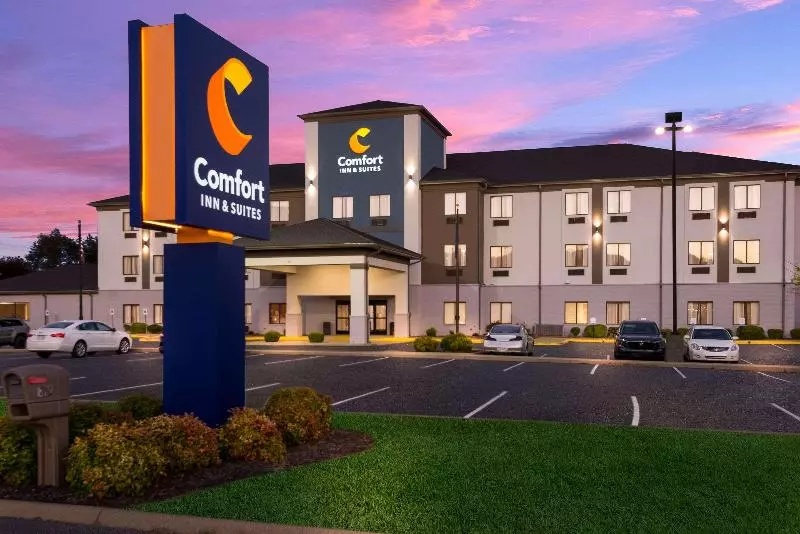酒店 Comfort Inn & Suites