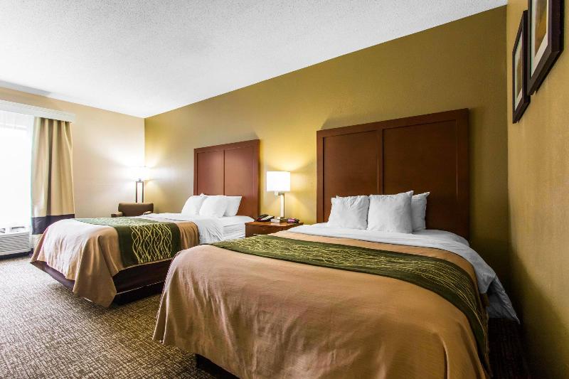 ホテル Comfort Inn & Suites