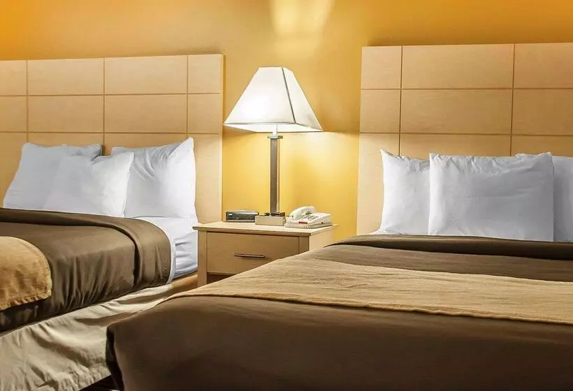 Hotel Econo Lodge At The Falls North