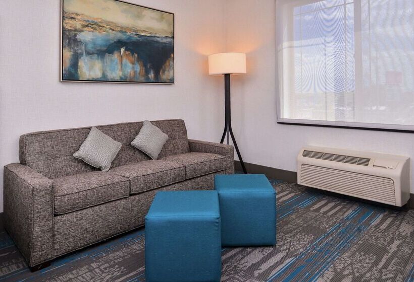 בית מלון כפרי Hilton Garden Inn Salt Lake City Downtown