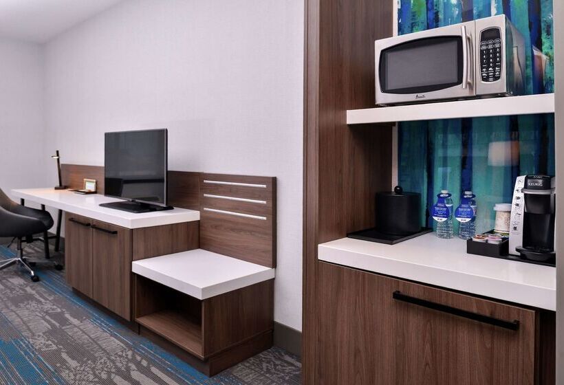 בית מלון כפרי Hilton Garden Inn Salt Lake City Downtown