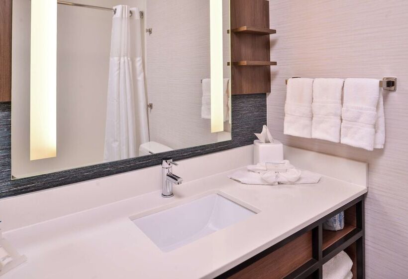 בית מלון כפרי Hilton Garden Inn Salt Lake City Downtown