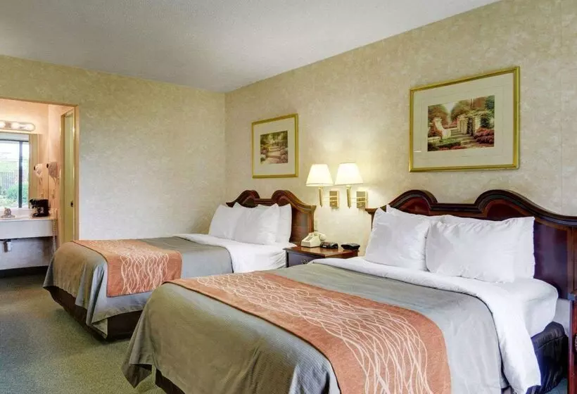 Отель Quality Inn Vienna   Tysons Corner
