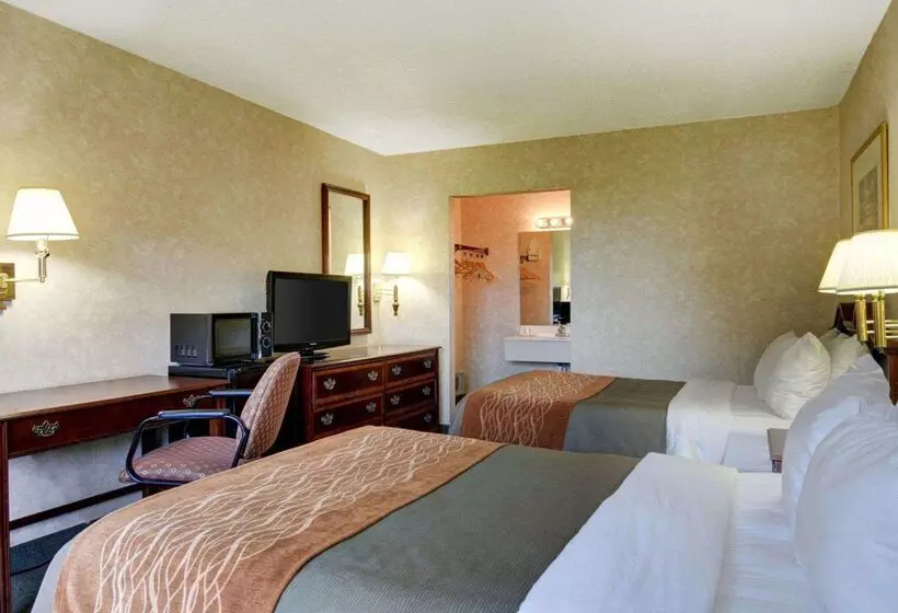 Отель Quality Inn Vienna   Tysons Corner