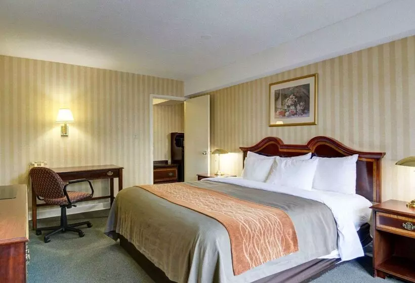 Отель Quality Inn Vienna   Tysons Corner