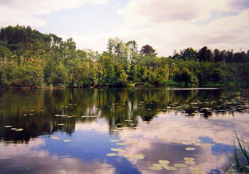 فندق Riverside Farmhouse