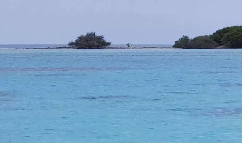 هتل Equa Reef Maldives