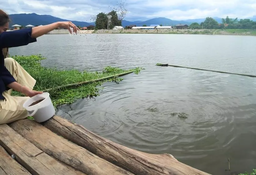 Hotelli Doi Inthanon Riverside Resort